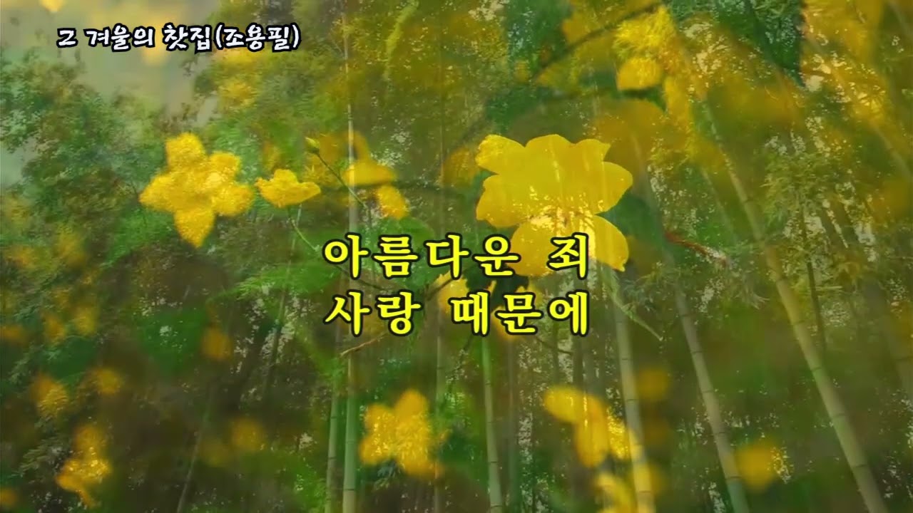 그 겨울의 찻집(조용필), #가요, #노래, #휴식, #힐링, #shorts, #잔잔한, #발라드, #조용한, #기쁨, #kpop