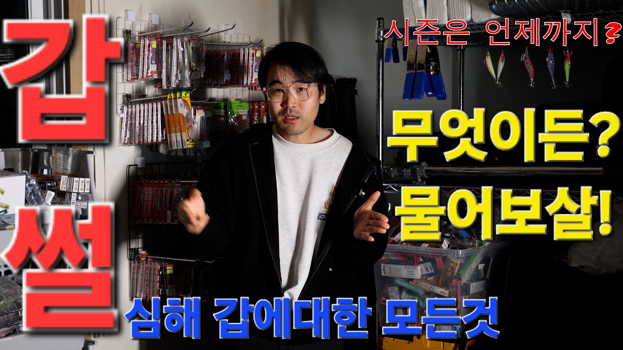 심해갑오징어에 관한 모든것 무엇이든 물어보살!