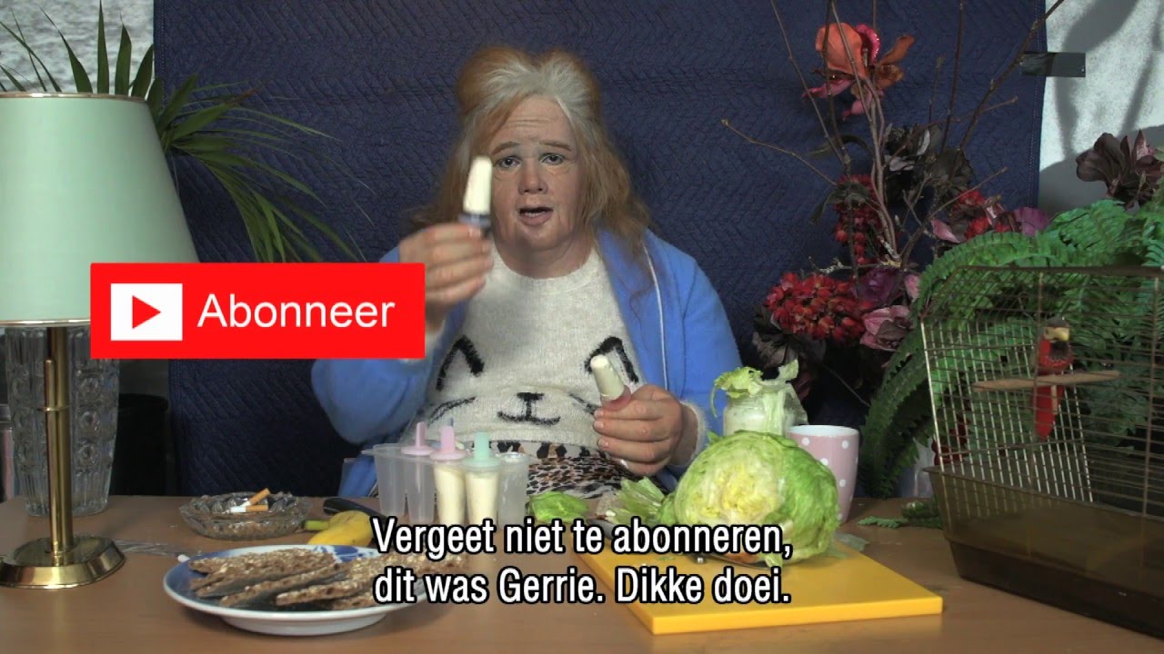 DINO. 2016 - Gerrie Vlog - Gezond Vreten