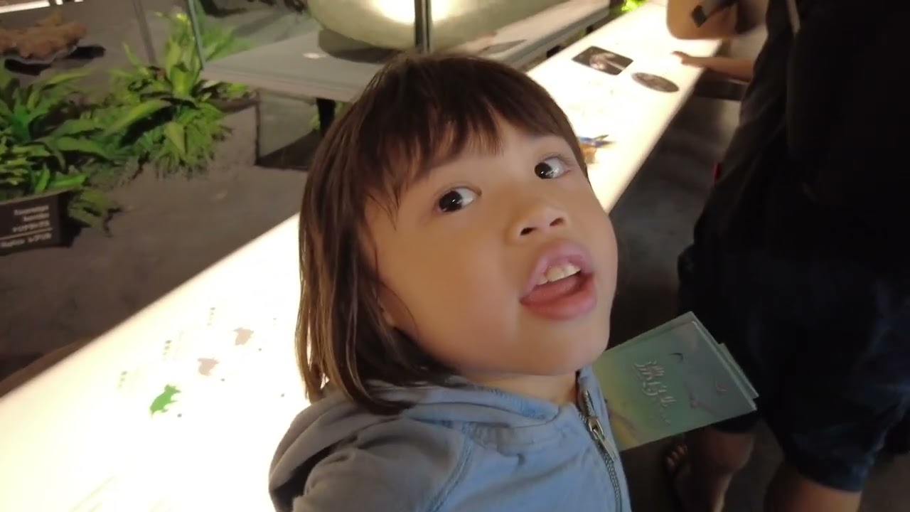 National Museum of Taiwan with Kids