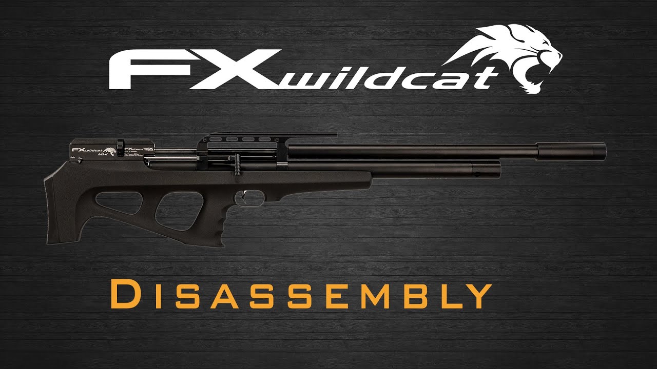 Как разобрать FX Wildcat MkI — мастер-класс по FX