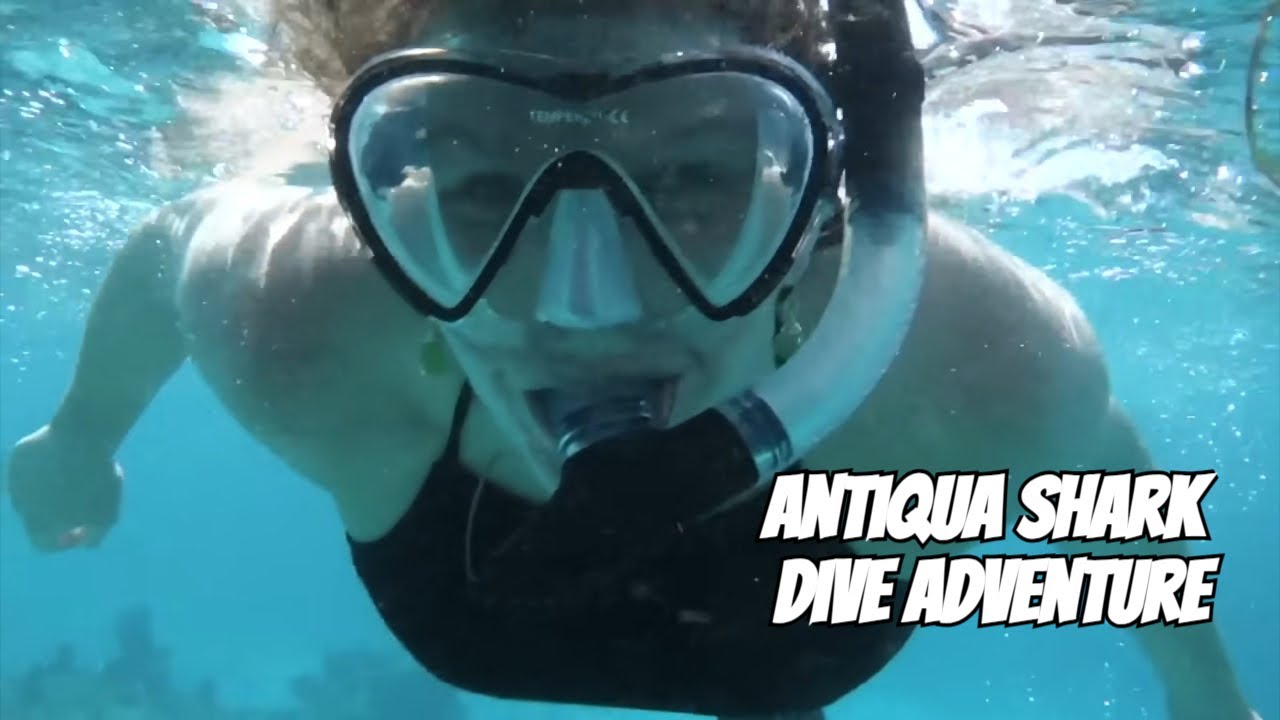 Dive into Antigua's Secret Shark Sanctuary