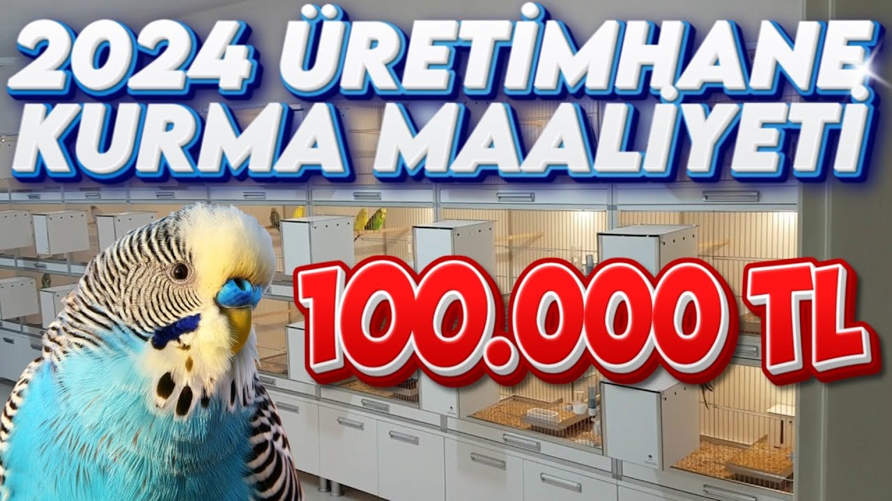 2024 YILINDA KUŞ ÜRETİMHANESİ KURMANIN MAALİYETİ