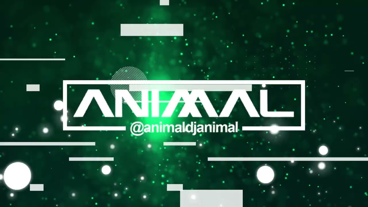 SOPETEO 2 - DJ ANIMAL