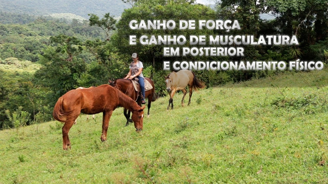 Fortalecimento de Posterior e Ganho de Musculatura