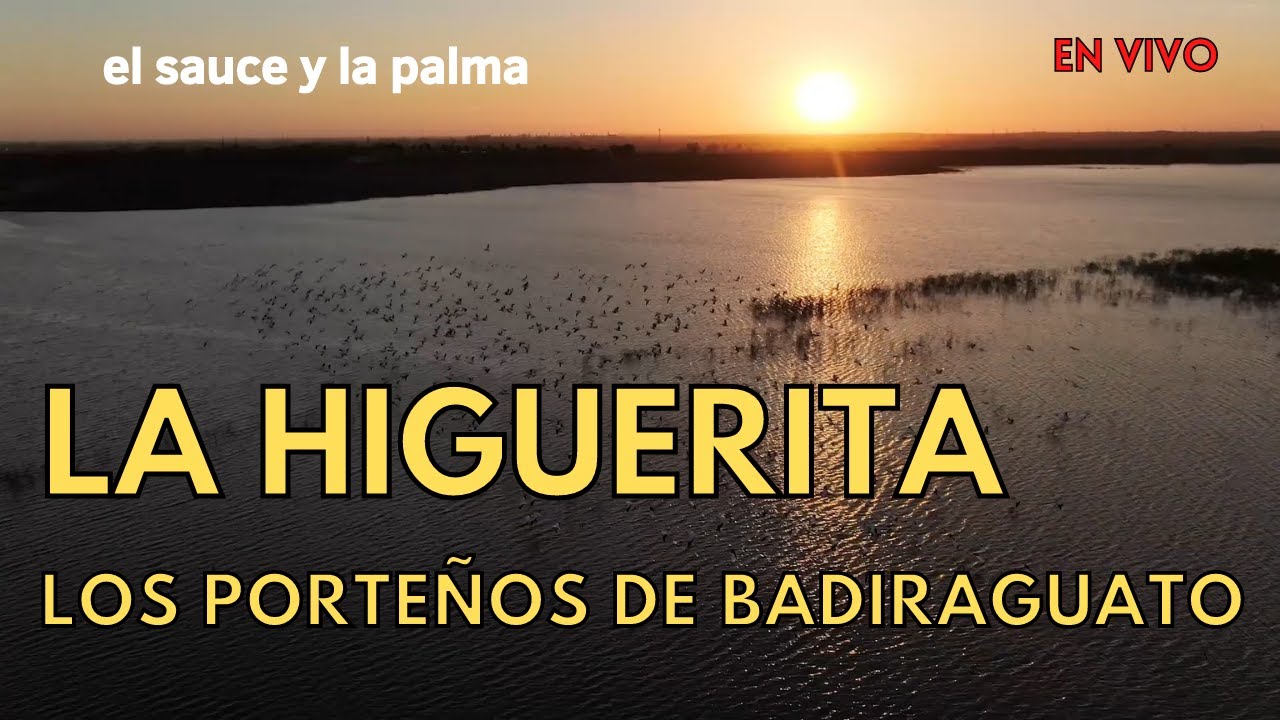 Los Porteños De Badiraguato - La Higuerita ¡EN VIVO!