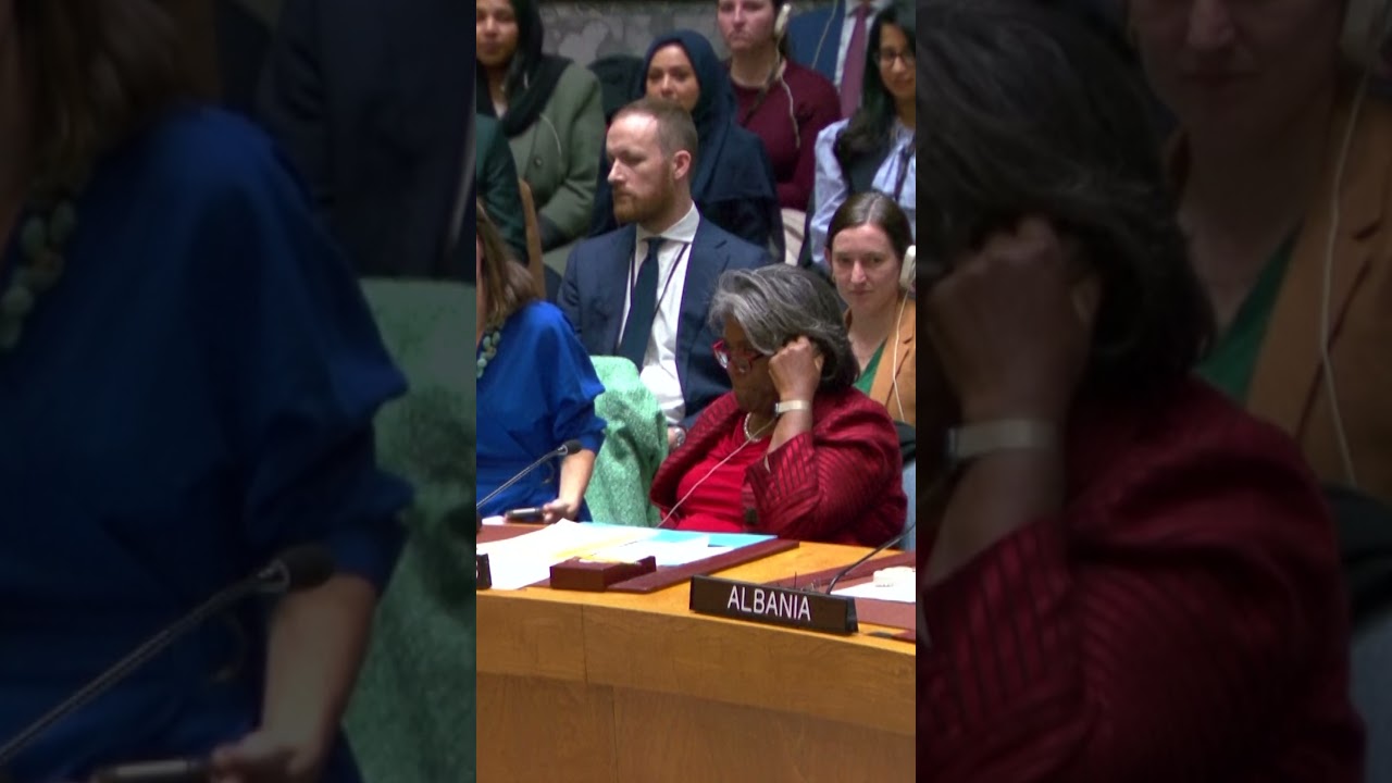 UN Security Council Passes Resolution on Increasing Gaza Aid