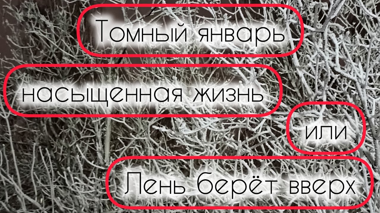 Вышивка января, все процессы 2026, учимся считать