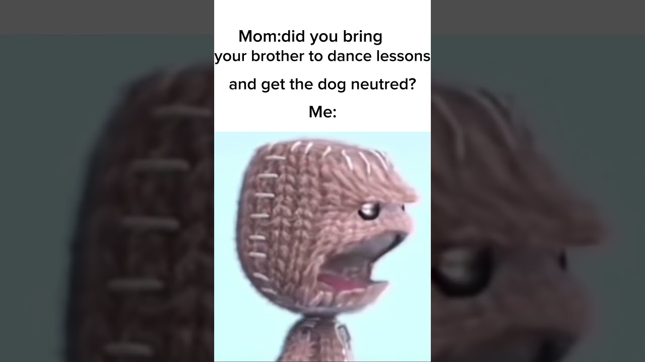 dog knows how to dance now🤷‍♂️ 