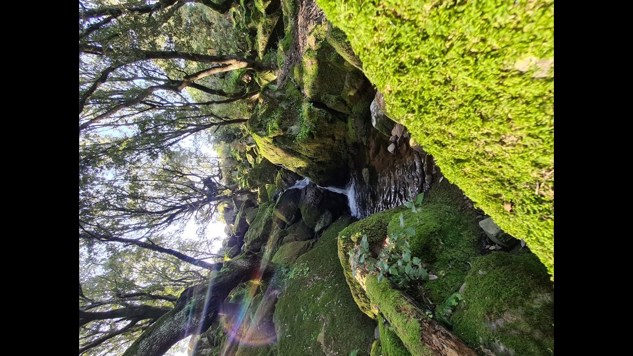 A tiny corner of Monte Arci, Sardinia.