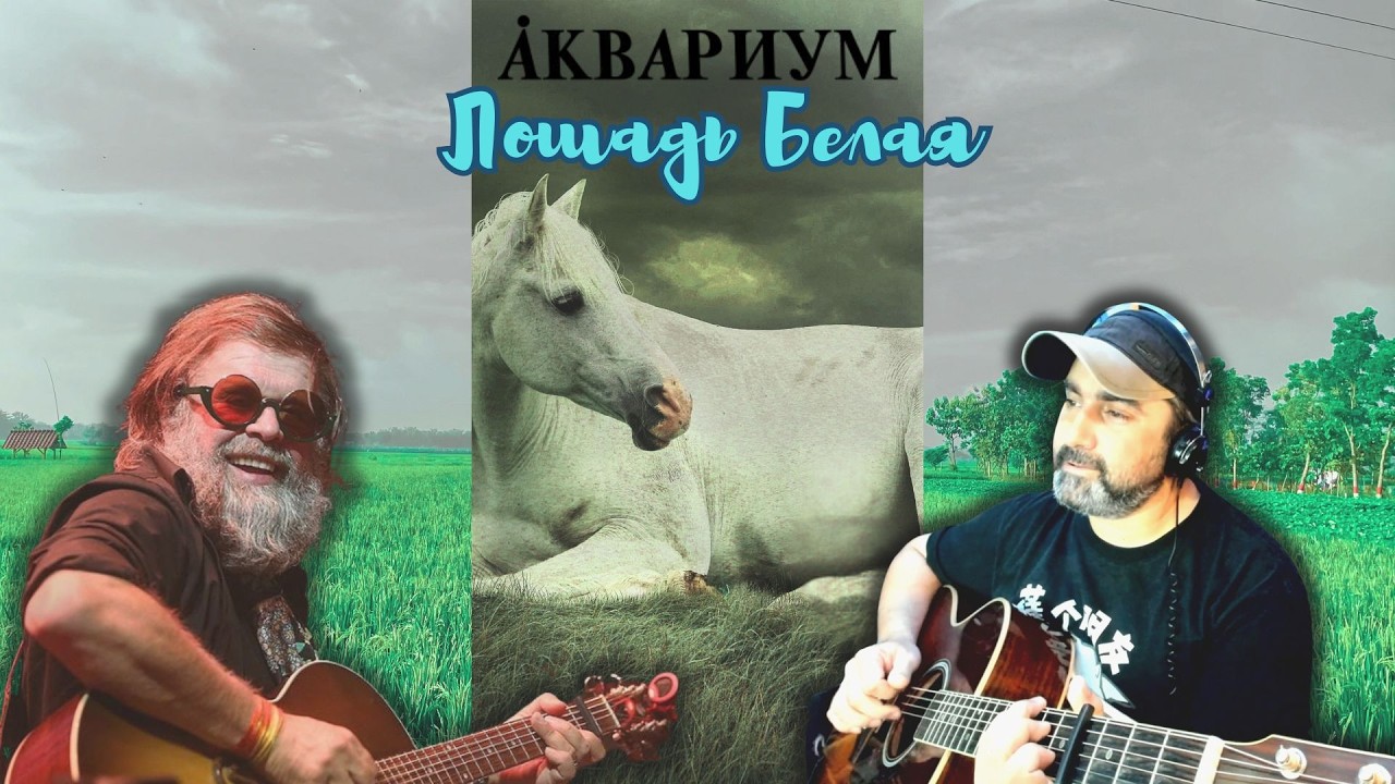 Аквариум — Лошадь белая (Светлый акустический кавер) 🎸