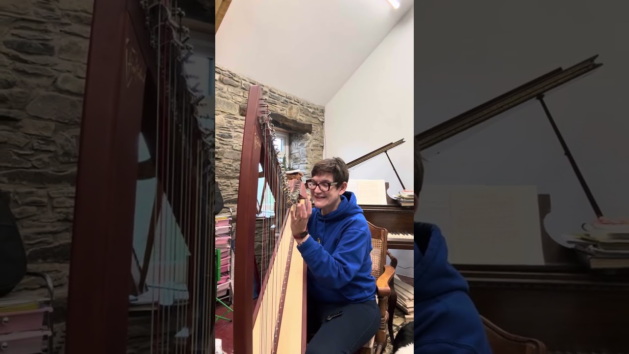 NEW HARP !! Sian 38 from Harfenland 