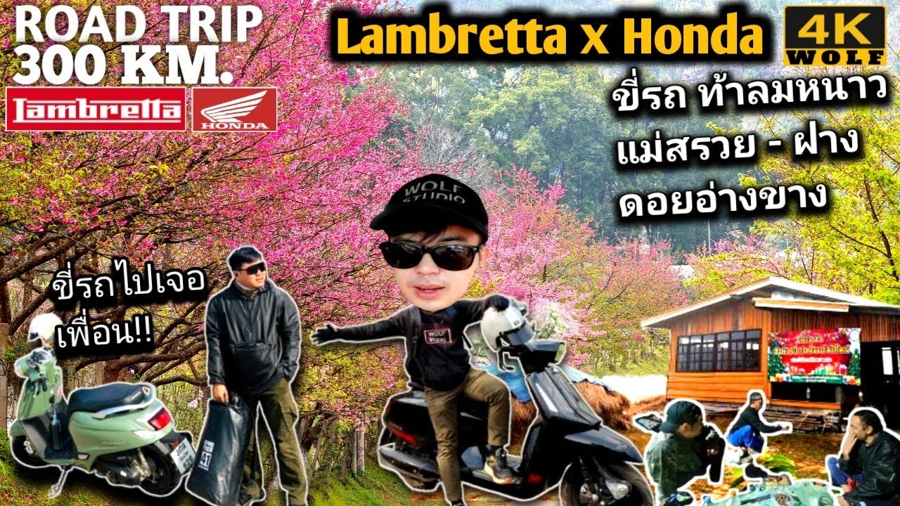 Lambretta x Honda ขี่รถ300โล!!พักฟาร์มสเตย์เพื่อนแวะดอยอ่างขางเชียงใหม่-เชียงราย 1วัน1คืน VLOG 2025