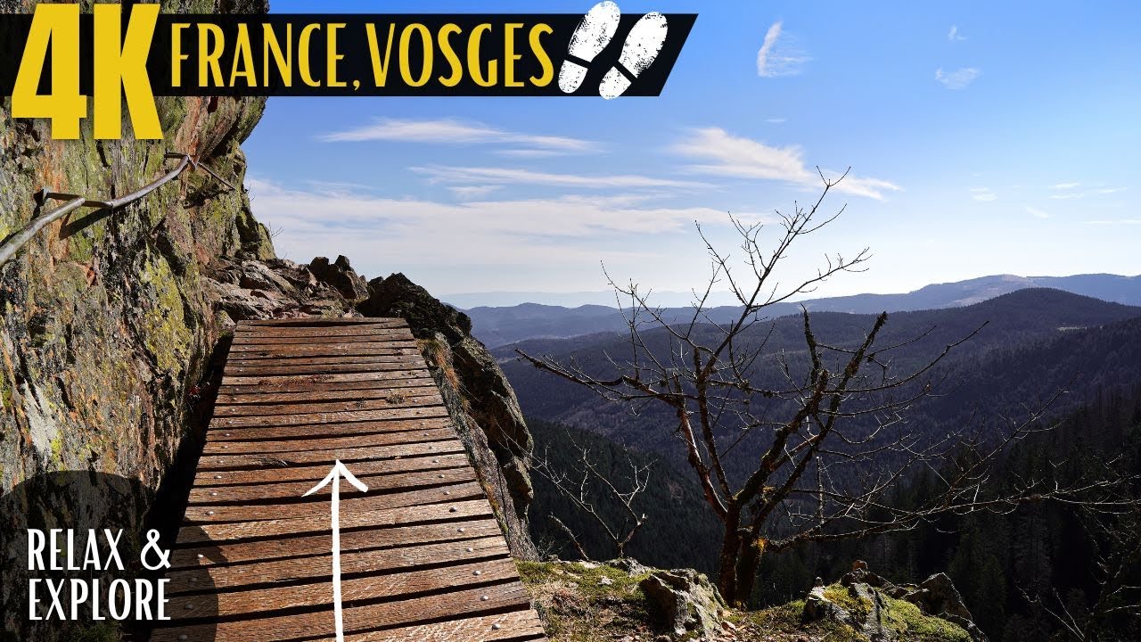 Beauty of Vosges Mountains - Nature Walk in France | 4K Nature Relaxation with calming music