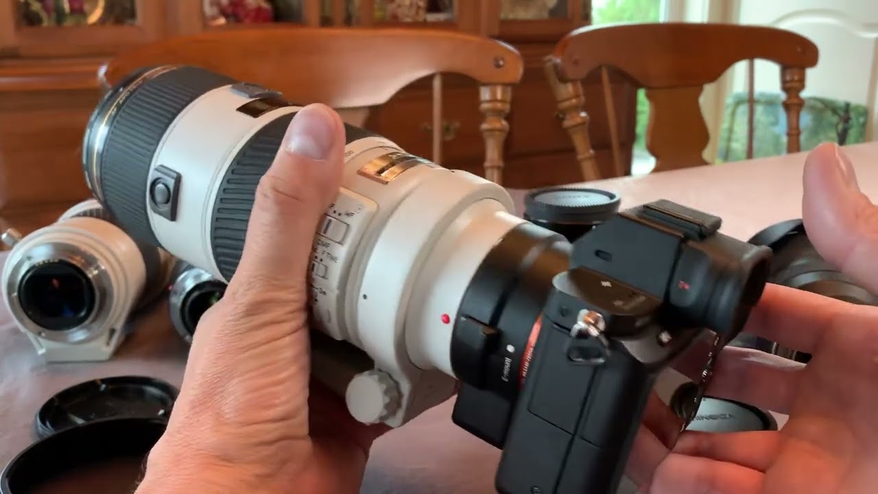 Minolta / Sony A mount & E mount A99ii, A7Rii, 80-200mm f2.8 G, 70-200mm f2.8 G SSM, LA-EA3, LA-EA4