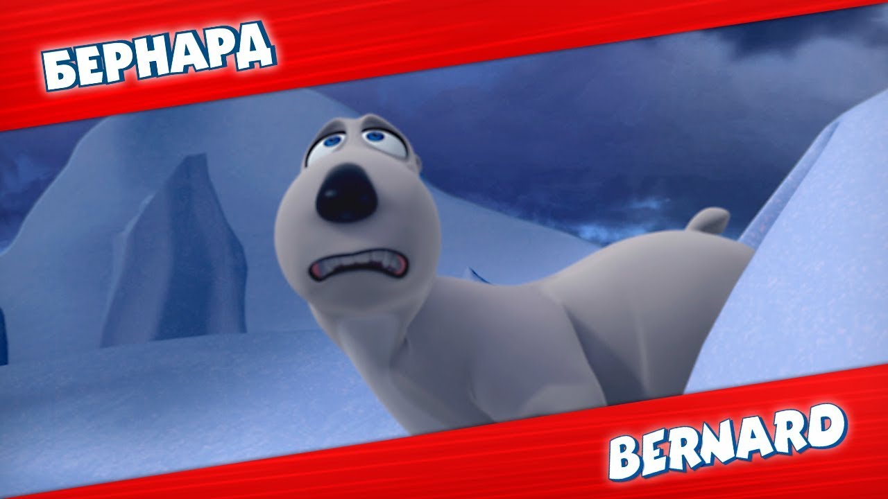 БЕРНАРД: Шторм и многое другое | Подборка серий