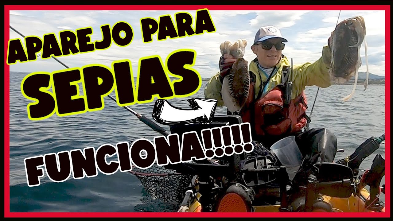 🎯PESCA de SEPIA | APAREJO para PESCAR SEPIAS 2024🐙🐙