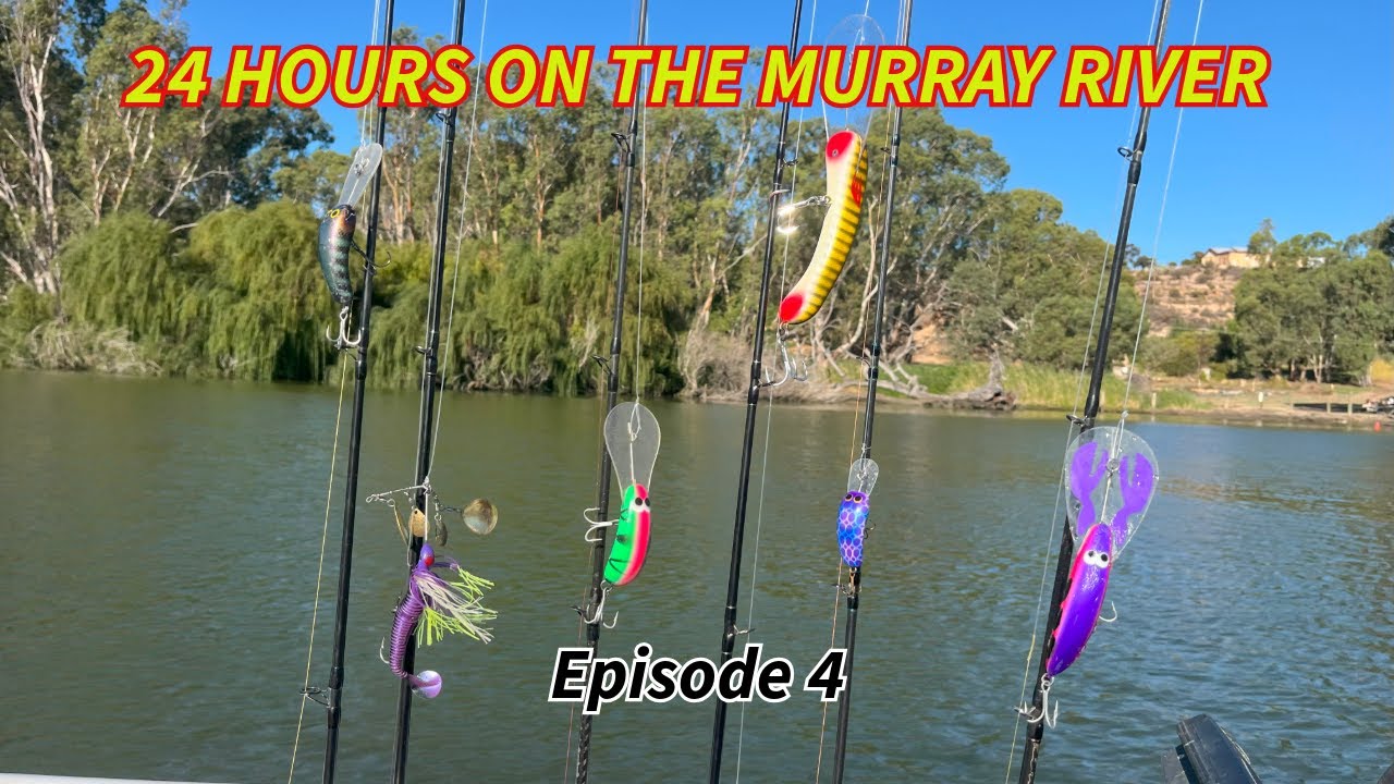 Team Ken Oath Murray Cod fishing mission on the Murray River - Episode 4