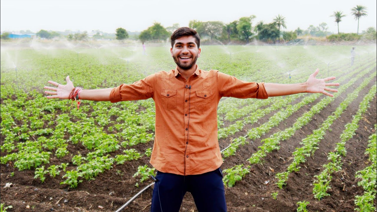 यहां होती है एडवांस तरीके से फुली ऑटोमेटिक सिंचाई | Mini Sprinkle Irrigation System