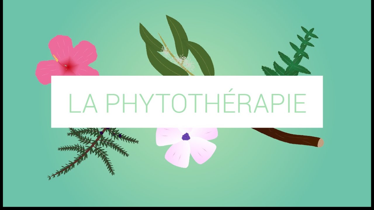 Qu'est-ce que la phytothérapie ?