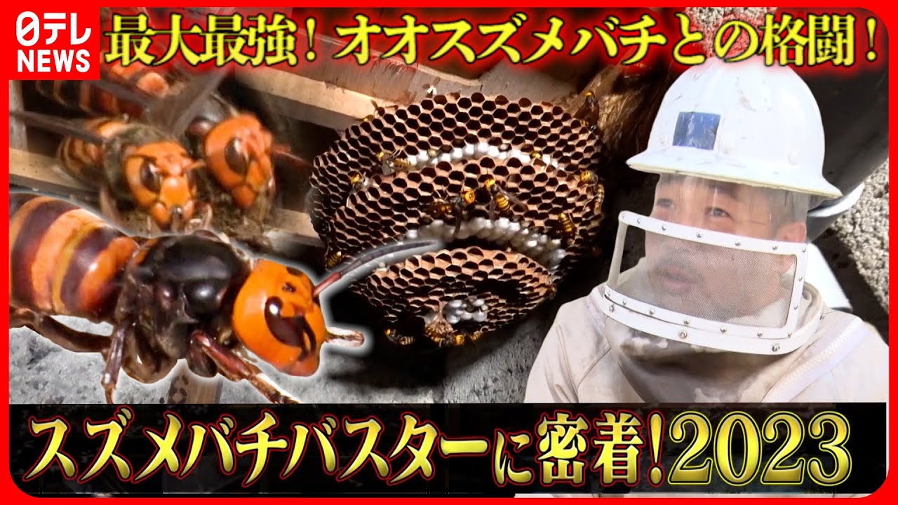 【密着】恐怖の