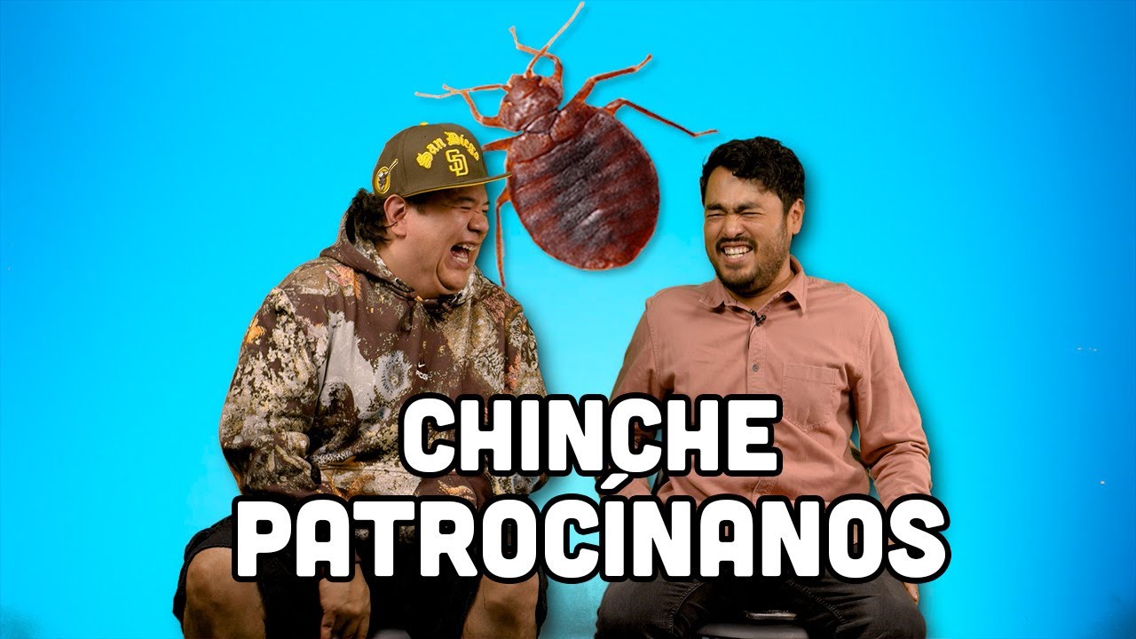 Chinche PATROCÍNANOS