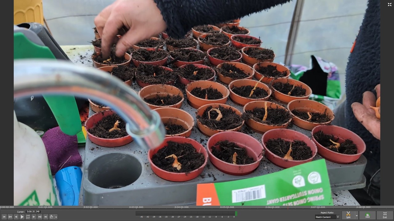 First Sowing 2026