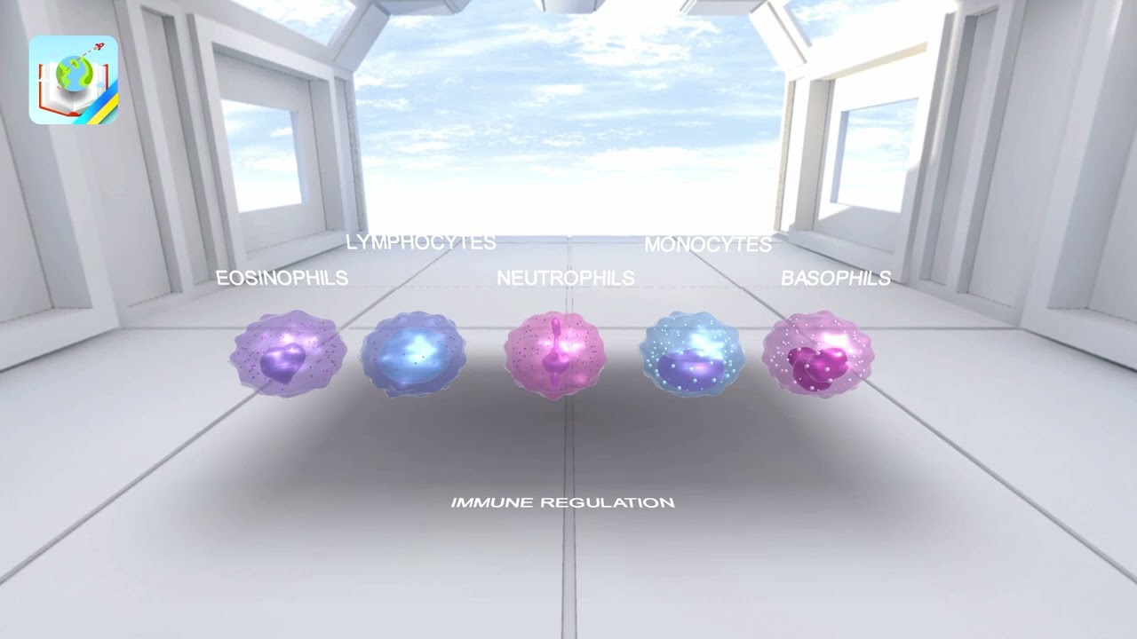 Immune regulation