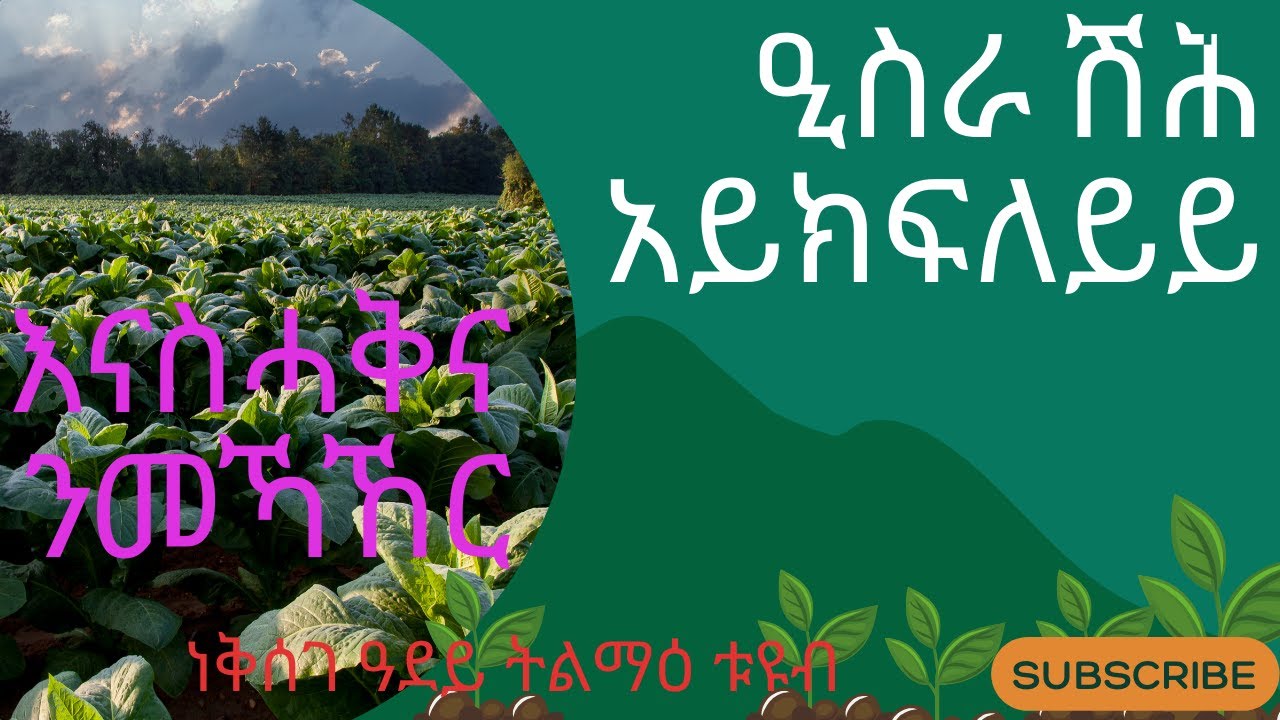 መሃሪትን መስሓቂትን ምስሊ እያ