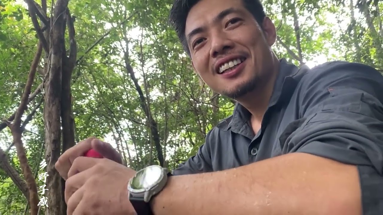 虎头蜂到蜂场肆虐，子威追到竹林深处惊险超大明巢，徒手抓干净