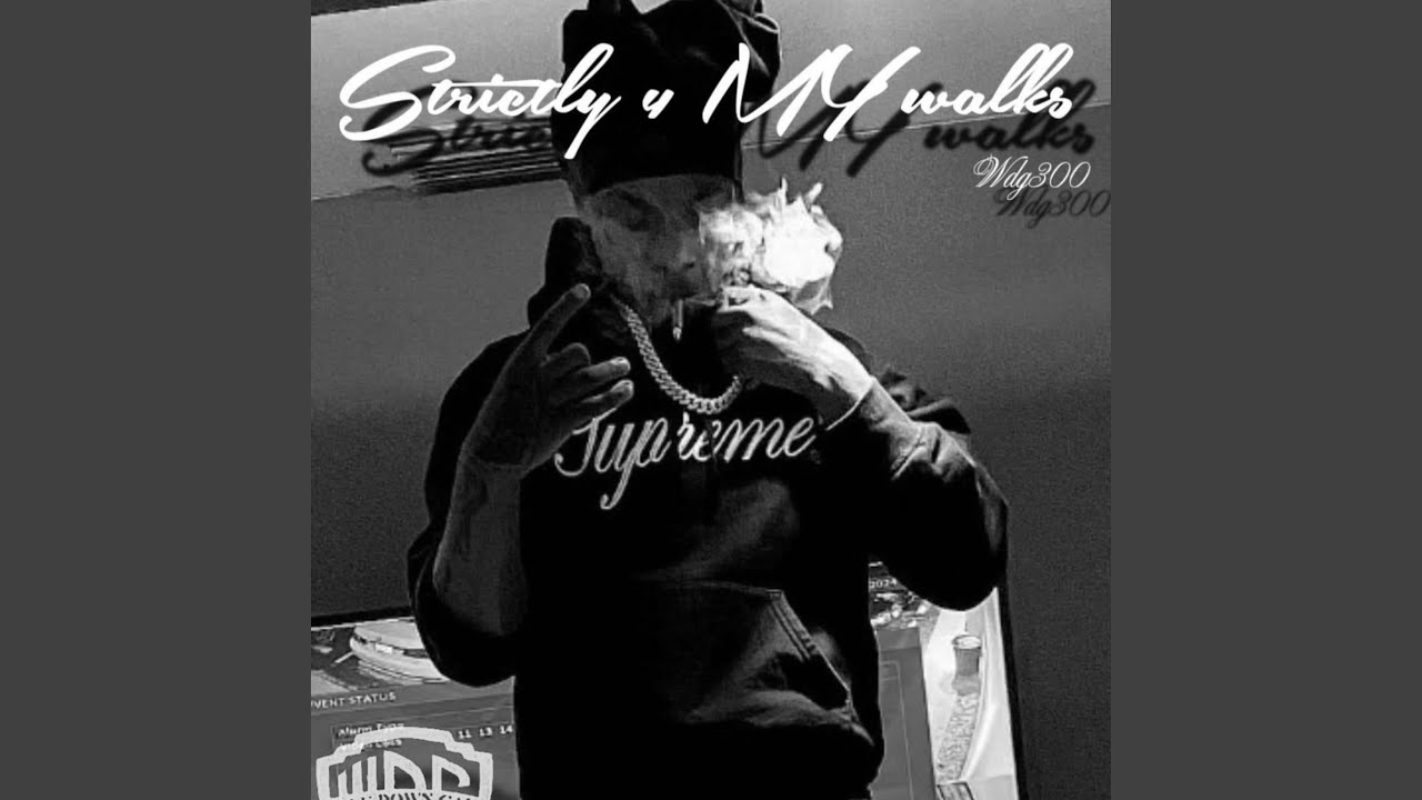 Wdg 300 (Give Em Enough) (feat. Lil 50 & R4L E)