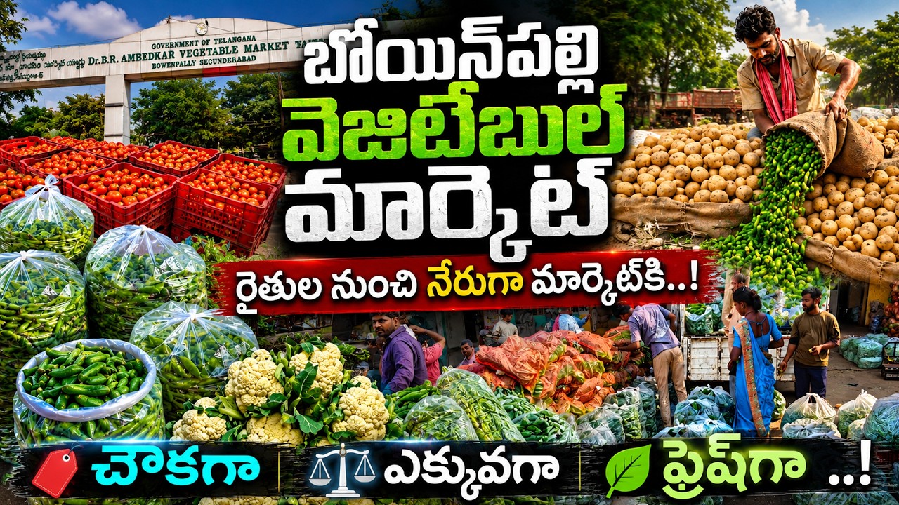 Wholesale Vegetable Market Bowenpally టామాట నుంచి బ్రోకలీ వరకు.. ఒకే చోట అన్నీ దొరికే మార్కెట్ Hyd
