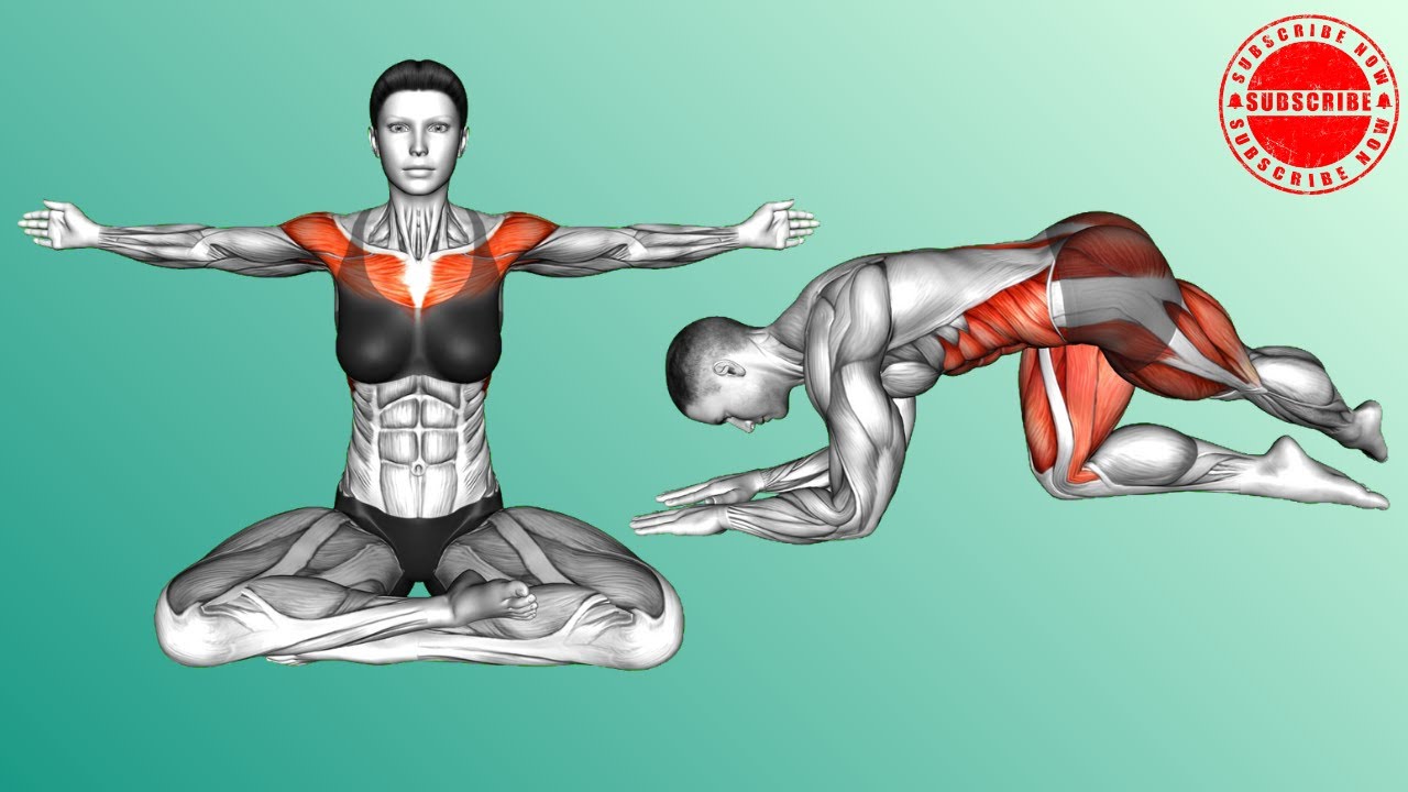 Fix Your Posture: 07 Minute Routine for Desk Workers