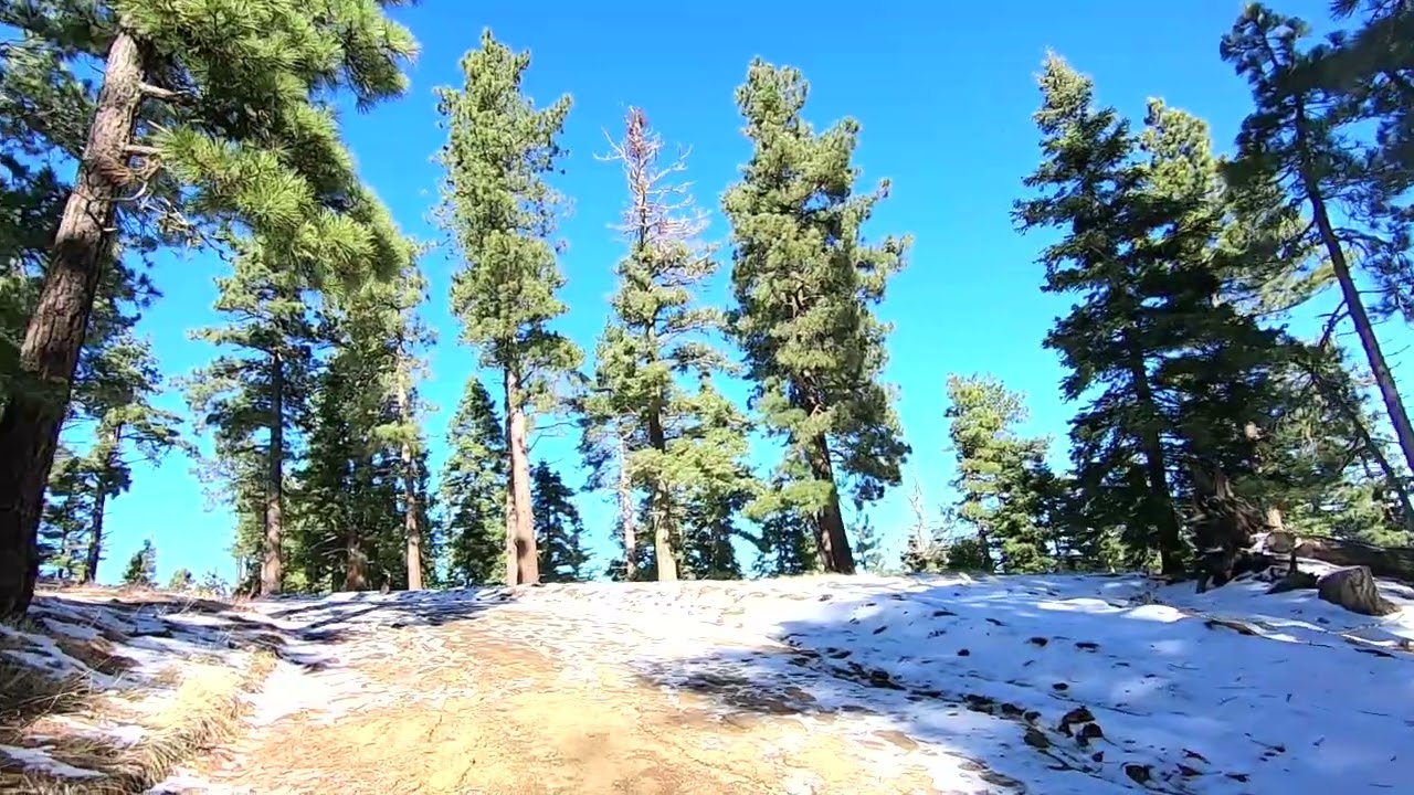 Tehachapi Mountain Park Hike 12/29/25 Part Seven