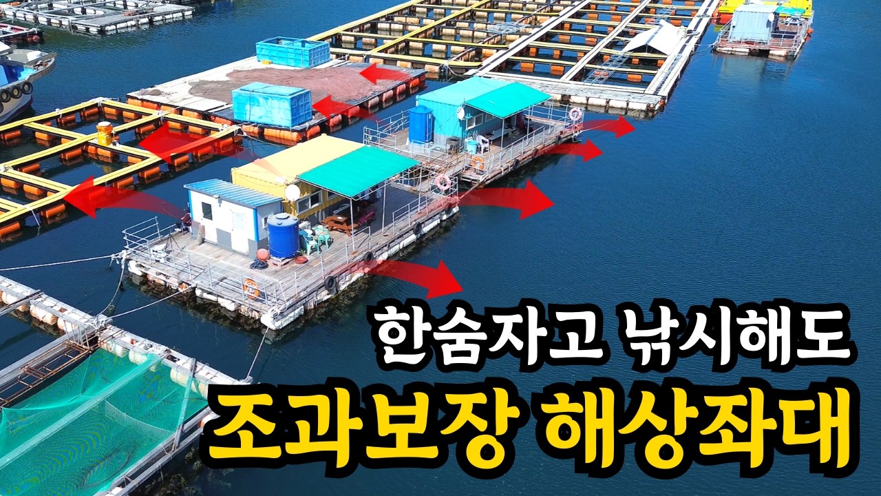 봄이되면 고기가 바글거리기 시작한다.