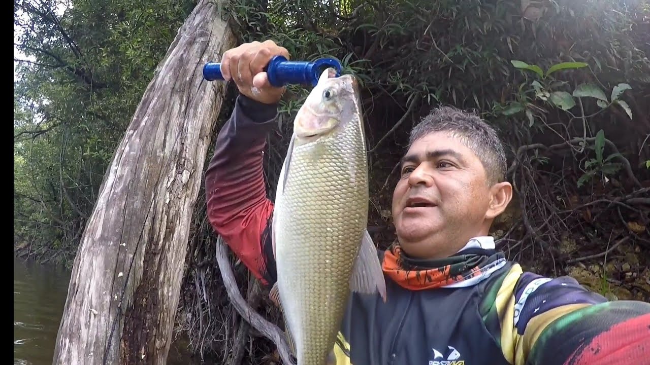 Melhor isca pra pegar Jatuarana. Confere aí.