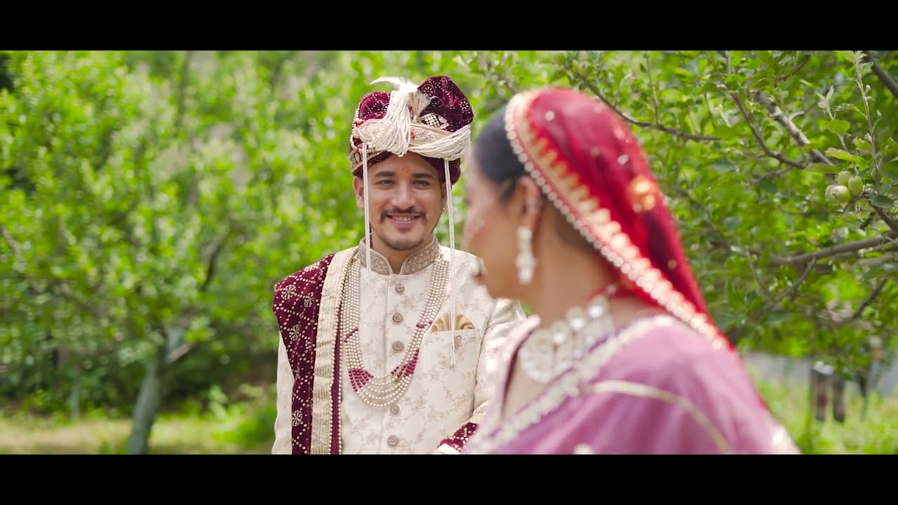 Gaurav & Sneha Wedding Highlights