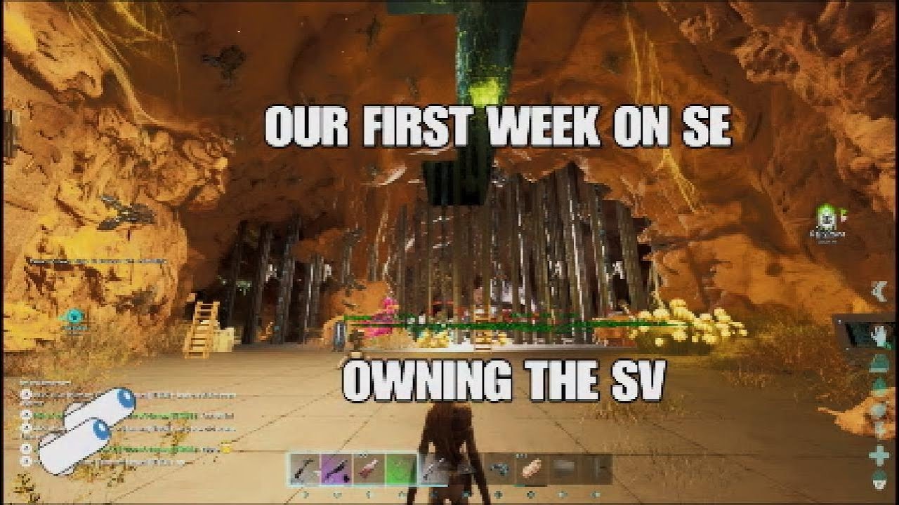 1ST WEEK OWNING MY SE SERVER (SMALLS CONSOLE)