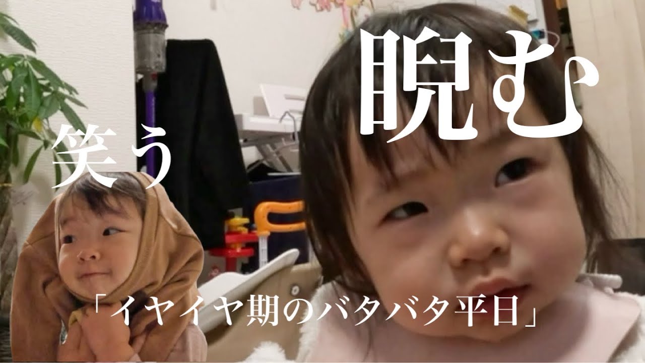 【リアルな朝】イヤイヤ期に振り回される。平日起きてから保育園に行くまで！