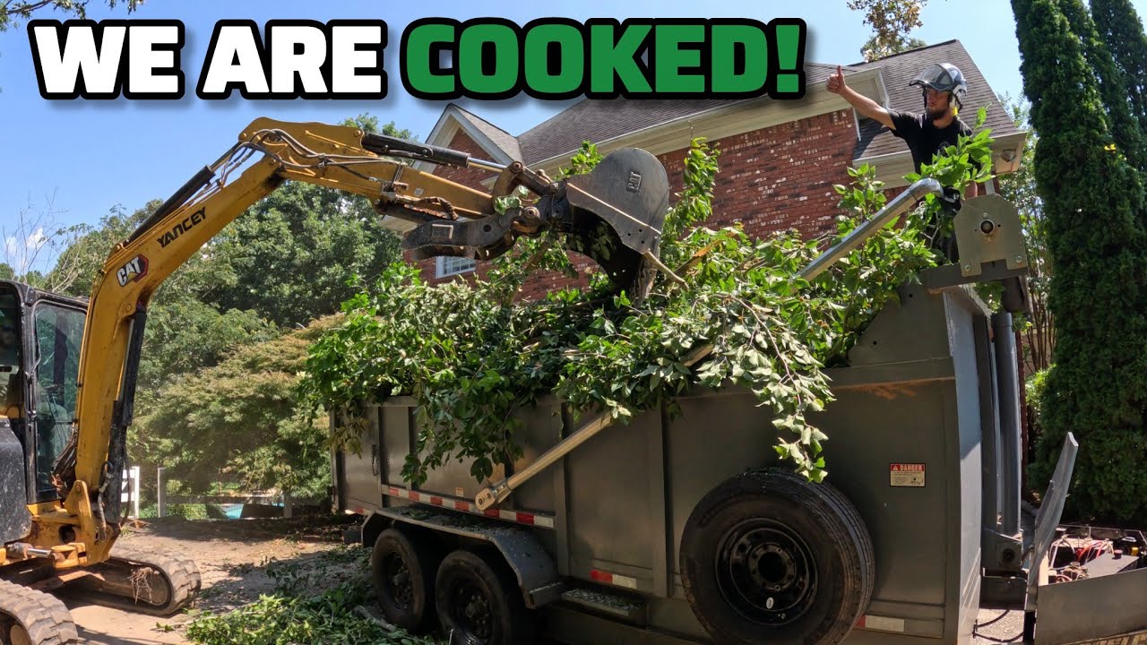 We Are Hustling To Make Some Money In This Extreme Heat! - Day In The Tree Removal Business 