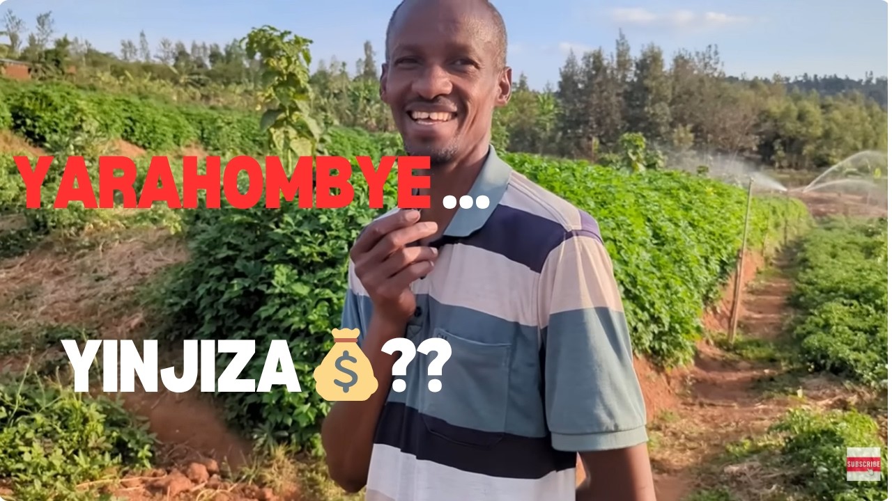 👉 UYU Muhinzi YAMPUMUYE AMASO!Yahereye kuri 40x50m none afite Hegitari 5 🚀👩‍🌾👨‍🌾