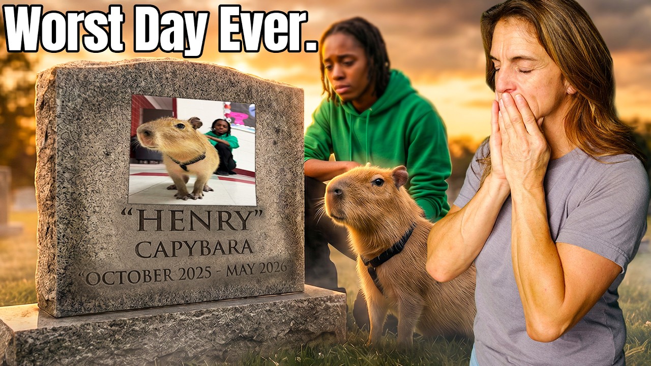 We Lost Our Baby Capybara&hellip; 💔