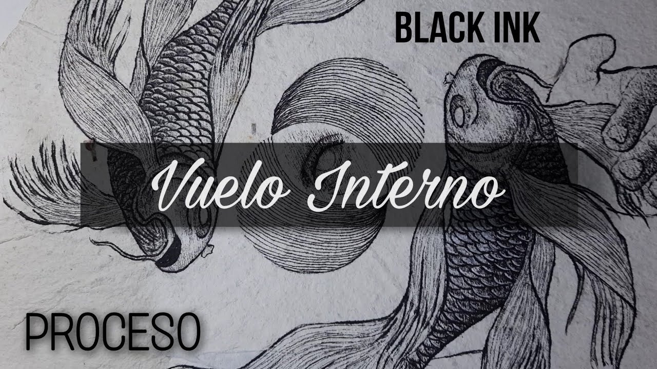 Dibujo con estilografo | Vuelo Interno | Proceso #drawing #blackink #koi