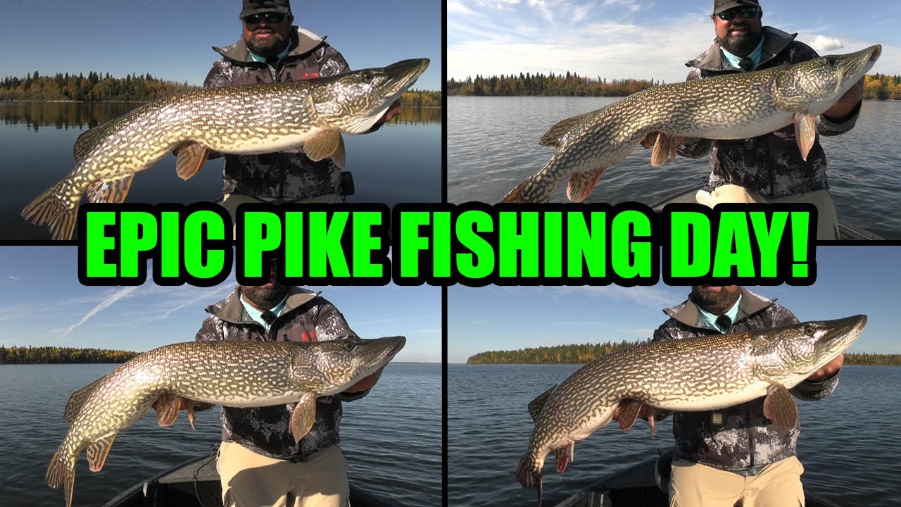 Epic Pike Fishing Day! | Crazy BIG PIKE ACTION!