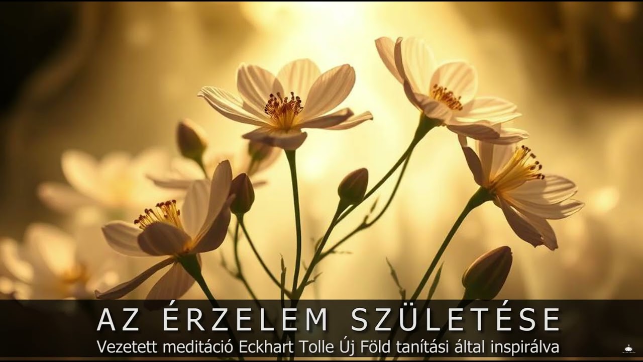 Az érzelem születése - Vezetett meditáció Eckhart Tolle Új Föld által inspirálva