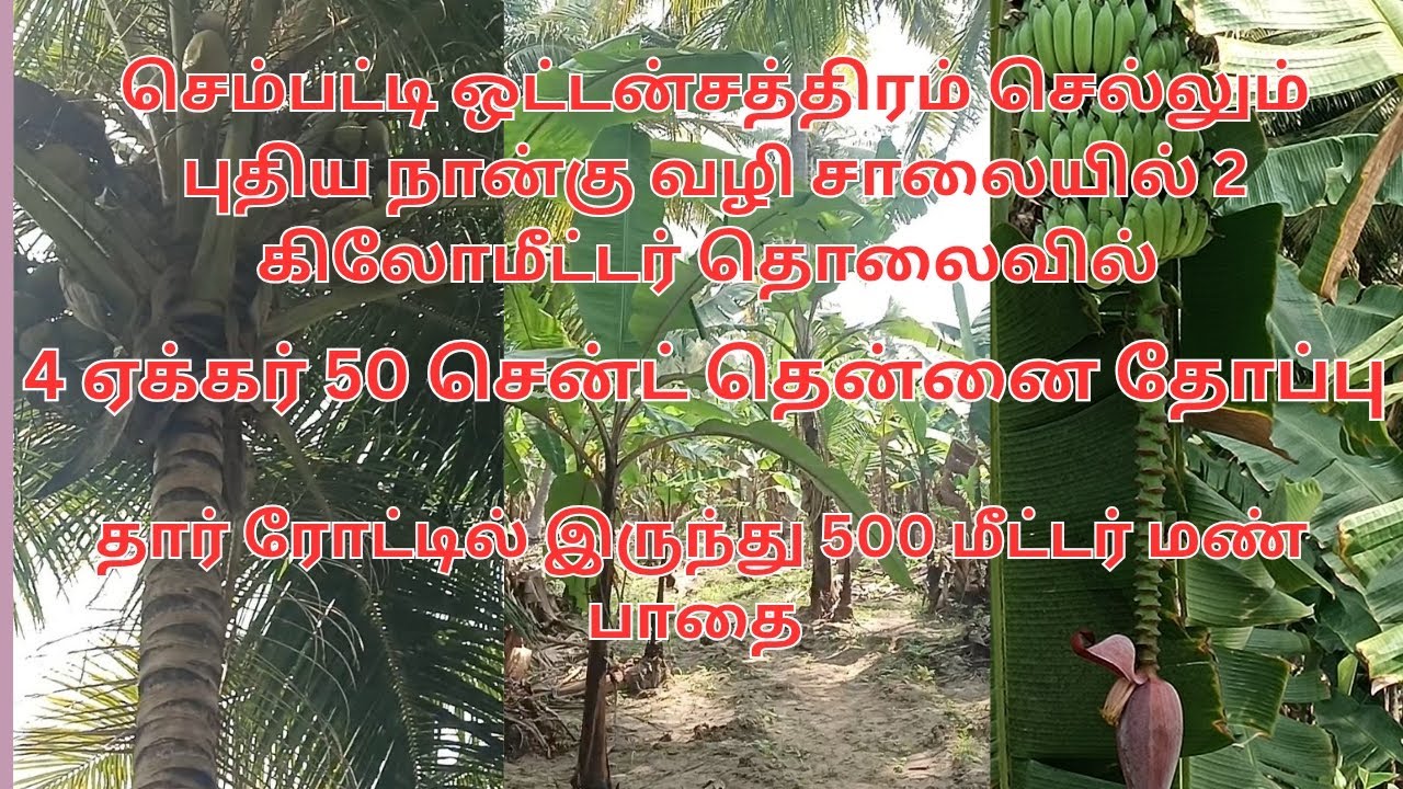 8248086875 திண்டுக்கல் மாவட்டம் செம்பட்டி ஒட்டன்சத்திரம் புதிய நான்கு வழி சாலையில் 4ஏக்கர்50 சென்ட் 