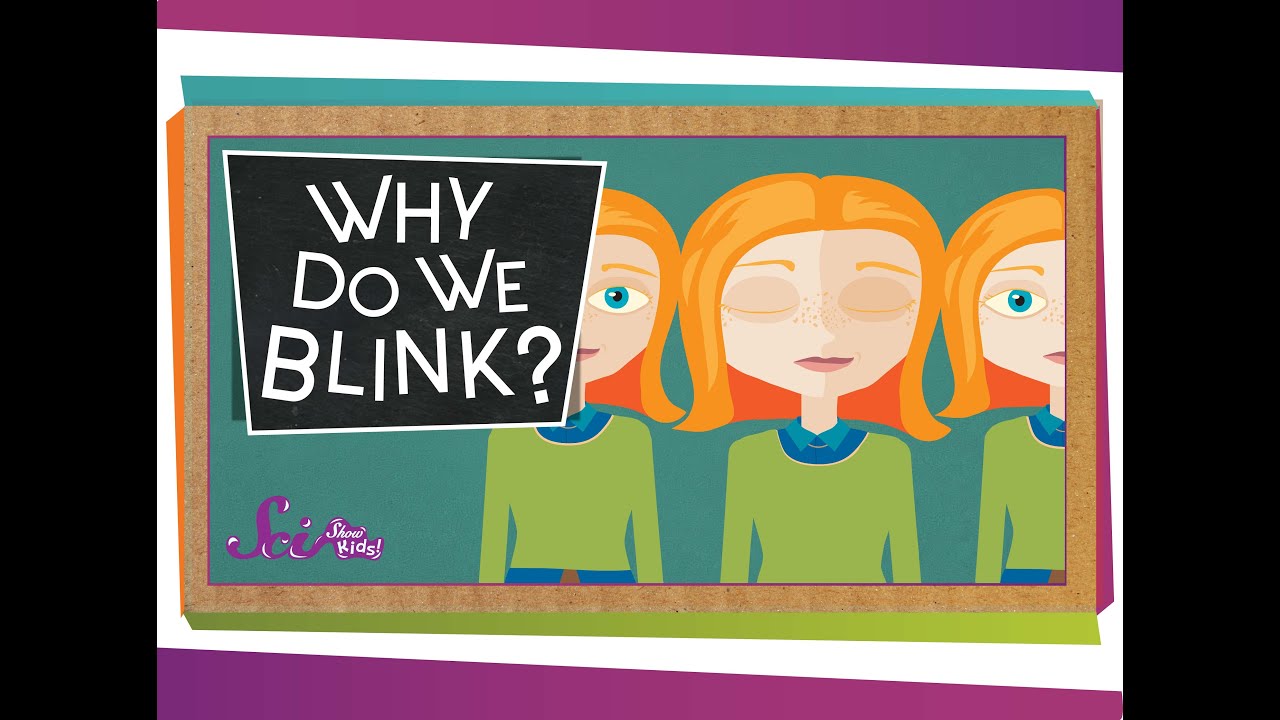 Why Do We Blink?