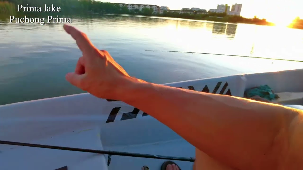 Prima lake fishing / Puchong Prima / Malaysia