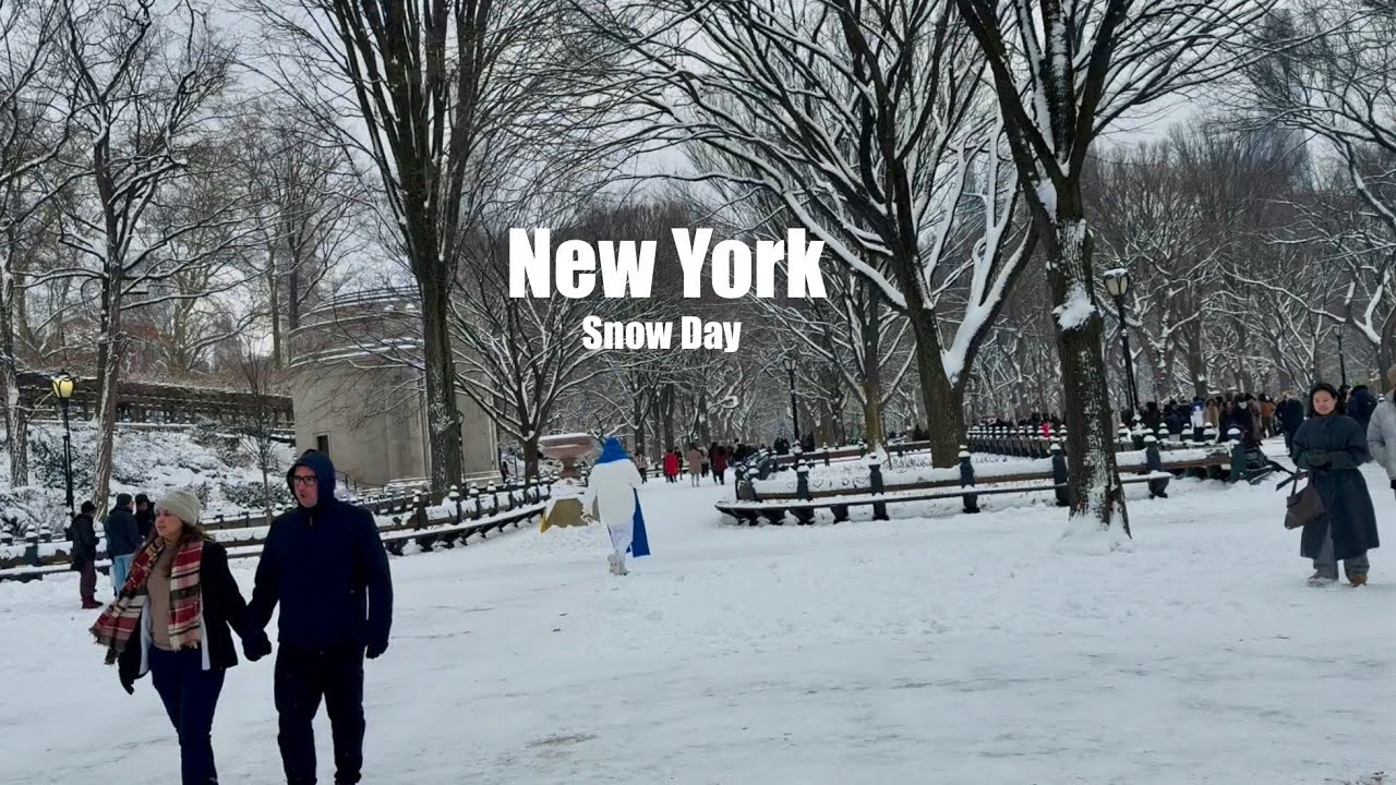 Snow Day❄️ — New York City walking Central Park