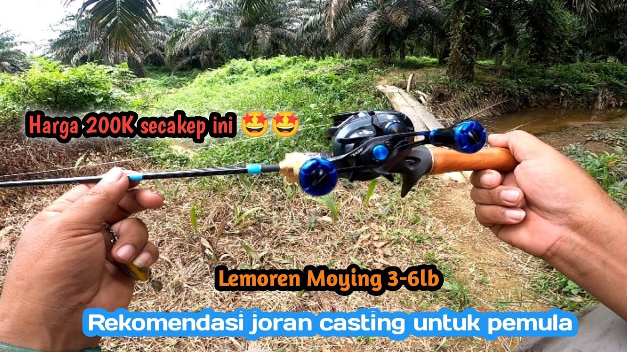 FULL STRIKE GABUS KALIMANTAN‼️Di Saat Tes Kekuatan Joran Lemoren Moying 3-6lb 150 cm.